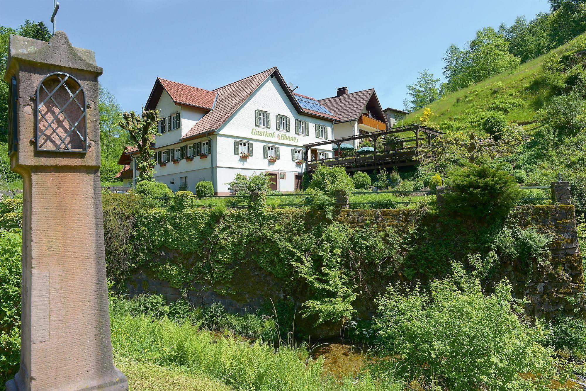 Hotel - Gasthof Blume 오페나우 외부 사진